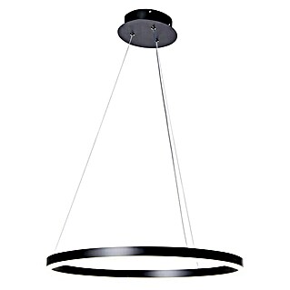Direct Signs LED-Pendelleuchte Noble (Durchmesser: 800 mm, Schwarz)