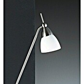 Paul Neuhaus Pino Stajaća svjetiljka (S 1 žaruljom, 28 W, Topla bijela, Čelik, Visina: 163 cm)