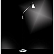 Paul Neuhaus Pino Stajaća svjetiljka (S 1 žaruljom, 28 W, Topla bijela, Čelik, Visina: 163 cm)