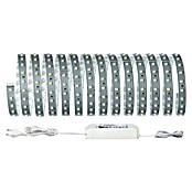 Paulmann MaxLED 500 LED traka  (D x V: 5 m x 3 mm, Srebrne boje, Neutralno bijelo) | BAUHAUS