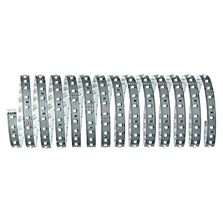 Paulmann MaxLED 500 Tira LED (L x Al: 5 m x 3 mm, Plateado, Blanco neutro)