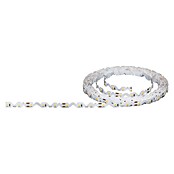 Paulmann LED traka  (Duljina: 5 m, Boja svjetla: Topla bijela, 10,5 W) | BAUHAUS