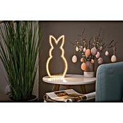 Paulmann LED traka  (Duljina: 5 m, Boja svjetla: Topla bijela, 10,5 W) | BAUHAUS