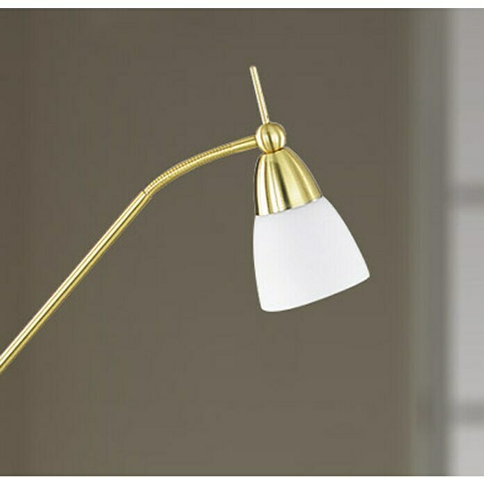 Paul Neuhaus Pino Stajaća svjetiljka (S 1 žaruljom, 28 W, Topla bijela, Mjed, Visina: 163 cm)