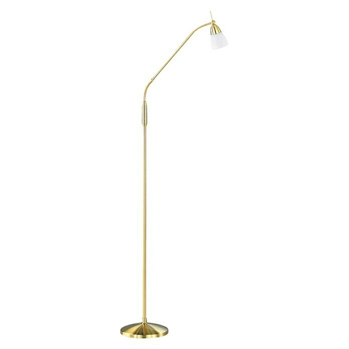 Paul Neuhaus Pino Stajaća svjetiljka (S 1 žaruljom, 28 W, Topla bijela, Mjed, Visina: 163 cm)