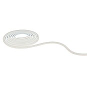 Paulmann MaxLED Tira LED (Largo: 5 m) | BAUHAUS