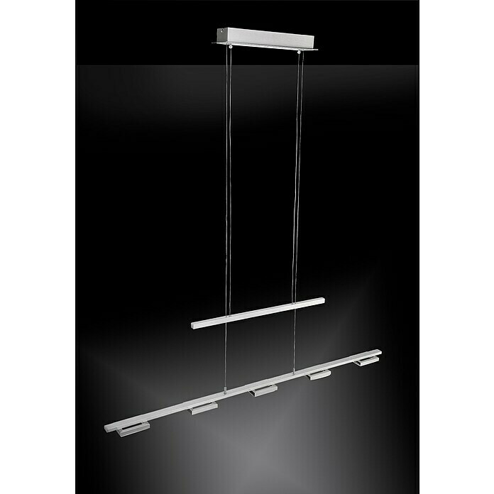 Paul Neuhaus Inigo LED-Pendelleuchte (5 x 5 W, Höhenverstellbar: 98,5 - 119 cm, Länge: 100,5 cm)