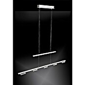 Paul Neuhaus Inigo LED-Pendelleuchte (5 x 5 W, Höhenverstellbar: 98,5 - 119 cm, Länge: 100,5 cm)