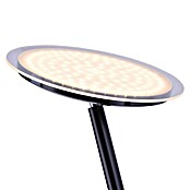 LeuchtenDirekt Lámpara de pie LED