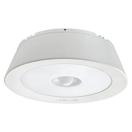 Mr. Beams LED-Deckenleuchte MB981