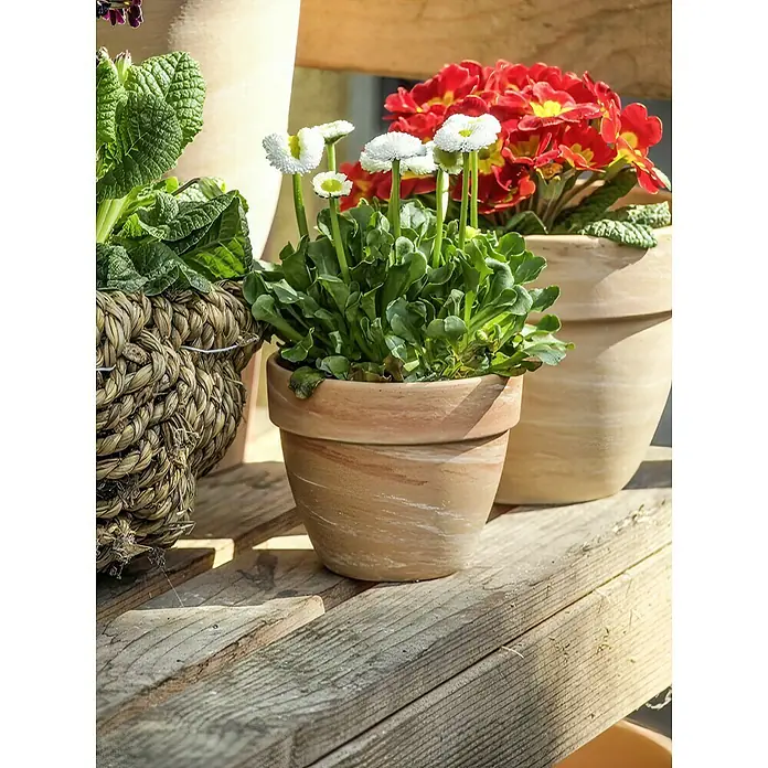 Pflanztopf Levante - Außenmaß (Ø x H): 39 x 32 cm, Naturmaterialien, Hell marmoriert - Detailaufnahme von Glockenblumen in einem Terrakottatopf mit gewischtem Aussehen auf einer hölzernen Oberfläche.
