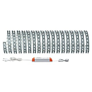 Paulmann MaxLED 500 Tira LED (L x Al: 10 m x 3 mm, Plateado, Blanco neutro)