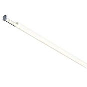 Paulmann Profilstange Function Tube Profil (L x H: 2 m x 22 mm) | BAUHAUS