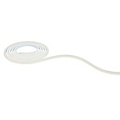 Paulmann MaxLED Tira LED (Largo: 3 m) | BAUHAUS