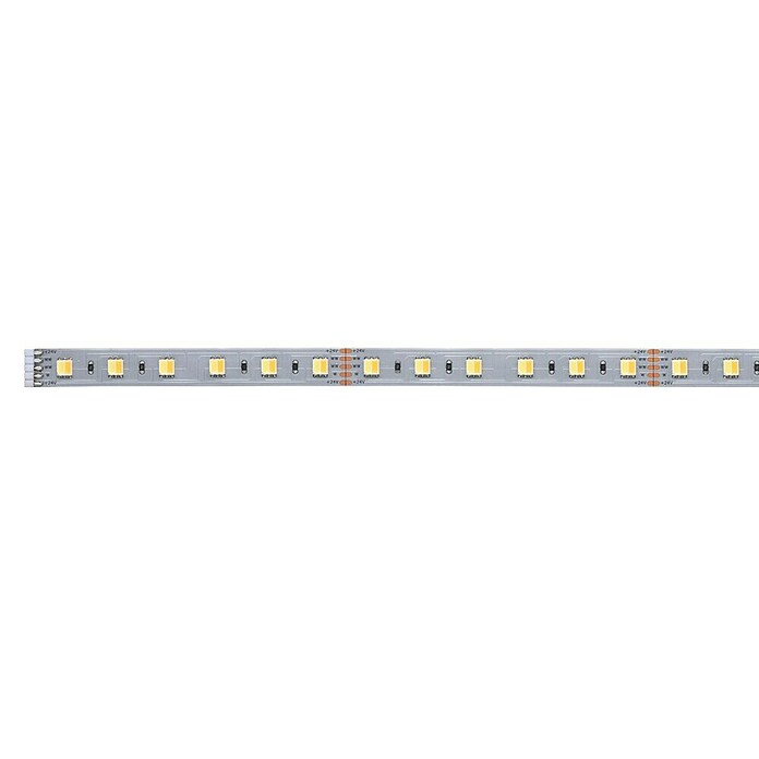 Paulmann MaxLED Tira LED Smart Home (Plateado, L x Al: 1 m x 3 mm) | BAUHAUS