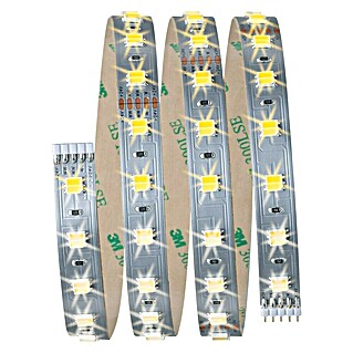 Paulmann MaxLED Tira LED Smart Home (Plateado, L x Al: 1 m x 3 mm)
