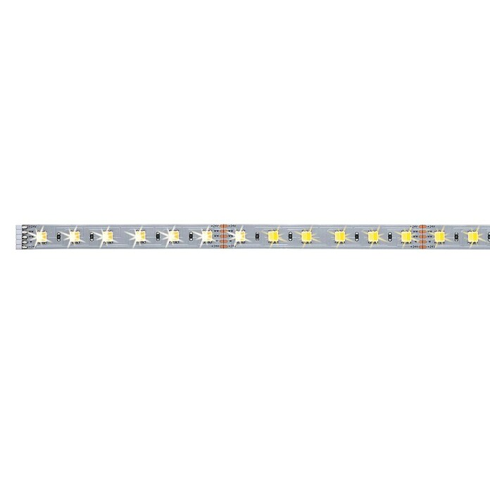 Paulmann MaxLED Tira LED Smart Home (Plateado, L x Al: 1 m x 3 mm) | BAUHAUS