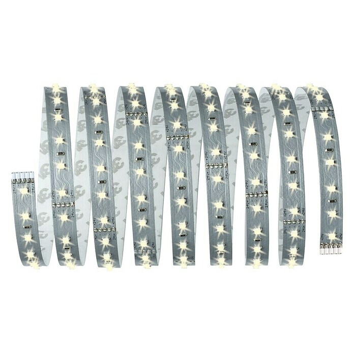 Paulmann MaxLED 500 Tira LED (Largo: 2,5 m, Color de luz: Blanco diurno) | BAUHAUS