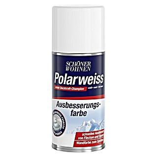 SCHÖNER WOHNEN-Farbe Wandfarbe Polarweiß-Spray (Weiß, 150 ml, Matt, Konservierungsmittelfrei)