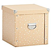 Zeller Present Aufbewahrungsbox (L x B x H: 30 x 30 x 29 cm, Pappe, Gold) | BAUHAUS