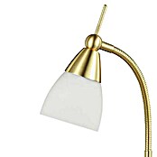 Paul Neuhaus Pino Stolna svjetiljka (S 1 žaruljom, 28 W, Topla bijela, Mat boje mjedi, Visina: 44,5 cm)