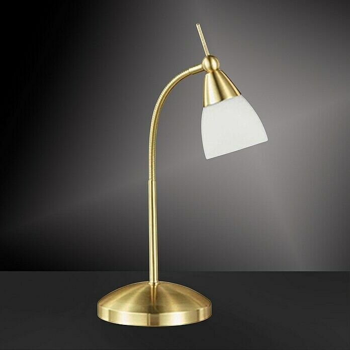 Paul Neuhaus Pino Stolna svjetiljka (S 1 žaruljom, 28 W, Topla bijela, Mat boje mjedi, Visina: 44,5 cm)