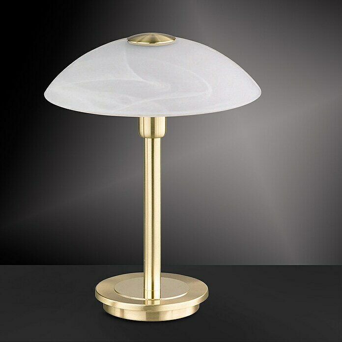 Paul Neuhaus Stolna svjetiljka Enova (S 1 žaruljom, 28 W, Topla bijela, Mat boje mjedi, Visina: 27 cm)