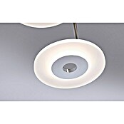 Paul Neuhaus LED stropna svjetiljka (S 3 žarulje, 3 x 12,5 W, Topla bijela, Promjer: 60 cm)