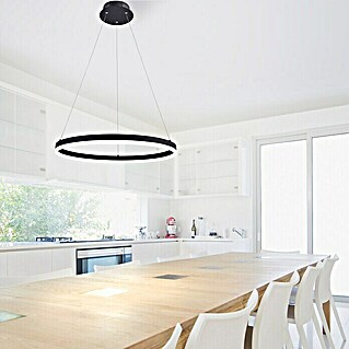 Paul Neuhaus LED-Pendelleuchte rund Titus (29 W, Silber, Warmweiß)