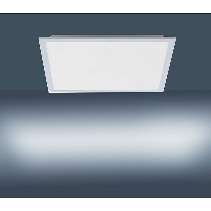 Paul Neuhaus LED-Panel Flat (25 W, L x B x H: 22,5 x 22,5 x 7,5 cm, Eisen, Warmweiß) | BAUHAUS