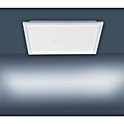 Paul Neuhaus LED-Panel Flat (25 W, L x B x H: 22,5 x 22,5 x 7,5 cm, Eisen, Warmweiß) | BAUHAUS