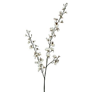 Kunstblume Orchidee (Höhe: 78 cm, Blanca, Kunststoff)