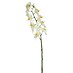 Kunstblume Orchidee 