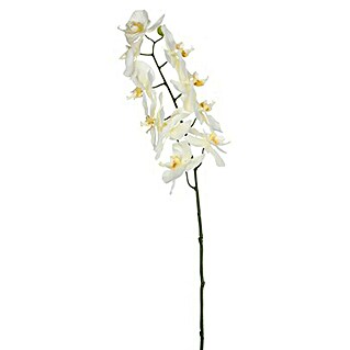 Flor artificial Orquídea (Altura: 71 cm, Blanca, Plástico)