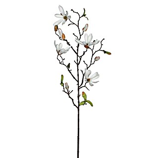 Kunstblume Magnolie (Höhe: 75 cm, Blanca, Kunststoff)