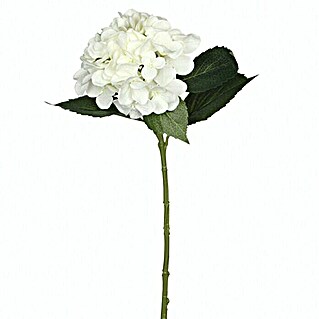 Kunstblume Hortensie (Höhe: 51 cm, Blanca, Kunststoff)