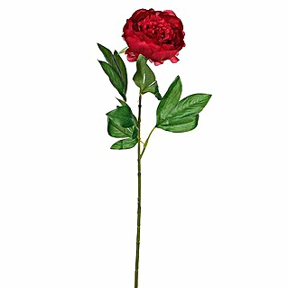 Umjetni cvijet Božur (Tamnoružičasta, Visina: 76 cm, Plastika)