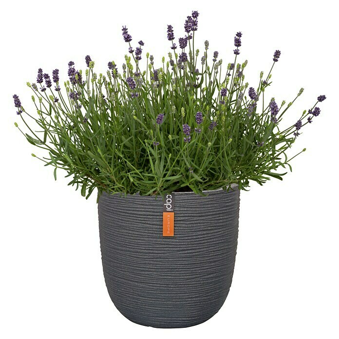 Capi Europe Nature Maceta (Ø x Al: 43 x 41 cm, Negro)