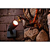 Ledvance Smart+ LED-Gartenspot Garten Spottwallspike RGBW EXT (L x B x H: 145 x 90 x 295 mm) | BAUHAUS