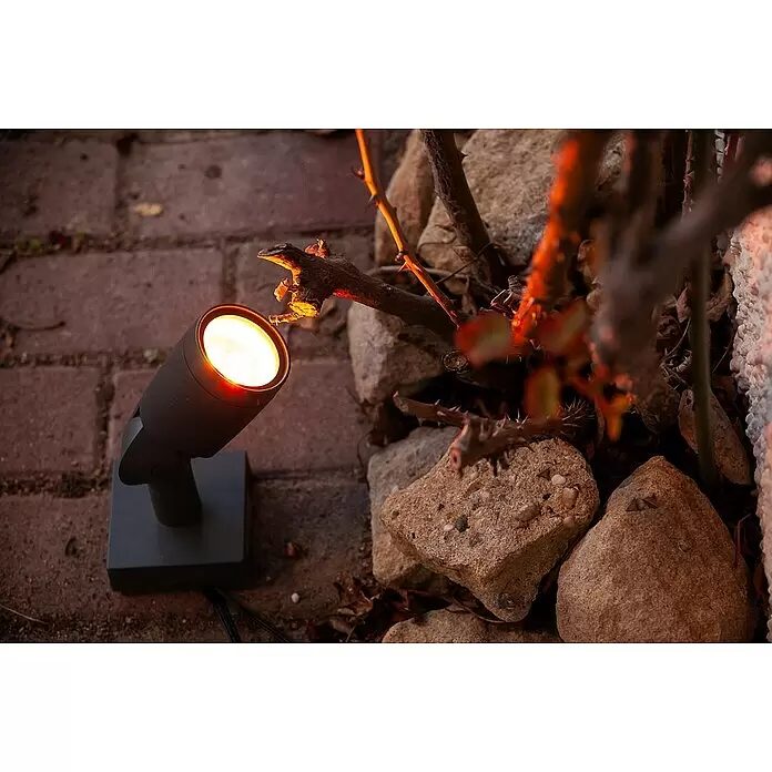 Ledvance Smart+ LED-Gartenspot Garten Spottwallspike RGBW EXT - L x B x H: 145 x 90 x 295 mm - Dunkelgrauer Außenstrahler wirft warmes Licht auf dornige Äste und Steine.