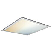 Osram LED-Panel Planon Plus (Weiß) | BAUHAUS
