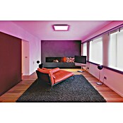 Ledvance Smart+ WiFi LED-Panel Planon Plus (L x B x H: 595 x 595 x 56 mm, Weiß, Warmweiß) | BAUHAUS