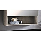 Camargue Polar Spiegelschrank (B x H: 60 x 69 cm, Mit Beleuchtung, Spanplatte)
