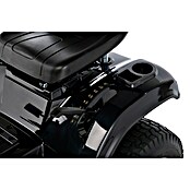 Alpina Rasentraktor (6,5 kW bei 2.800 U/min, Schnittbreite: 98 cm)
