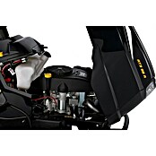 Alpina Rasentraktor (6,5 kW bei 2.800 U/min, Schnittbreite: 98 cm)
