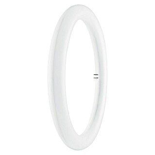Tubo LED Circular (32 W, 3 cm, Blanco frío, 1.200 lm)