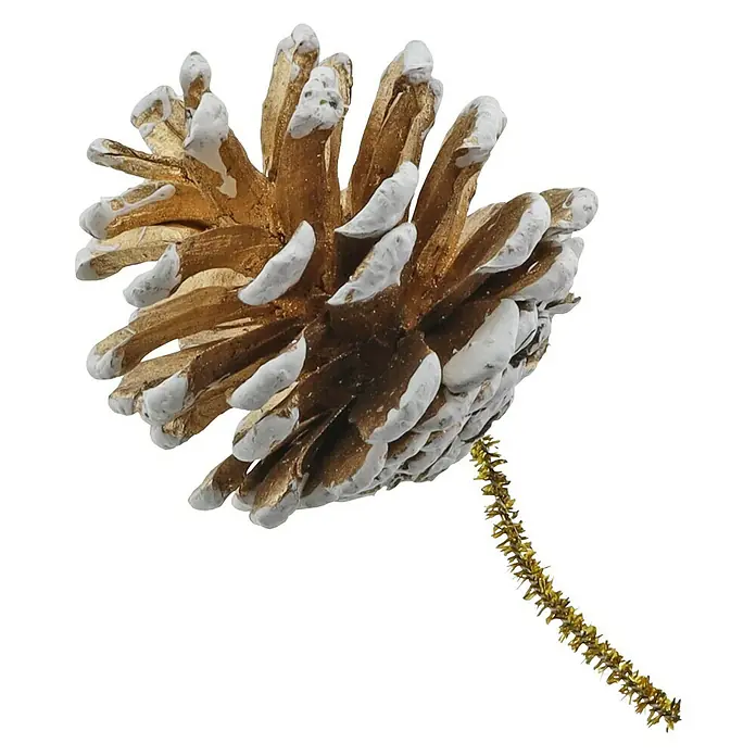 Dekoartikel Zapfen Gold/Weiß - Holz/Zweige, Höhe: 4 cm - Dekorative, goldfarbene Kieferzapfenverzierung mit weißen Akzenten, ideal für festliche Dekorationen.