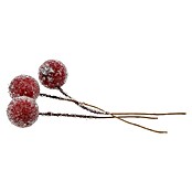 Dekozweige Beeren am Draht (Beere, Draht, Durchmesser: 1,2 cm) | BAUHAUS