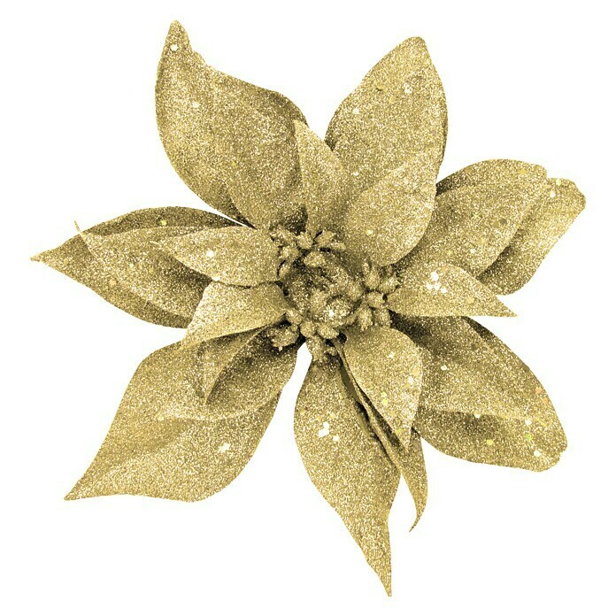 Dekoblüten Weihnachtsstern mit Clip (Gold, Blume, Durchmesser: 20 cm) | BAUHAUS