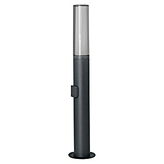 Ledvance Smart+ LED-Laterne Flare 60cm RGBW GR (B x H: 110 x 604 mm)